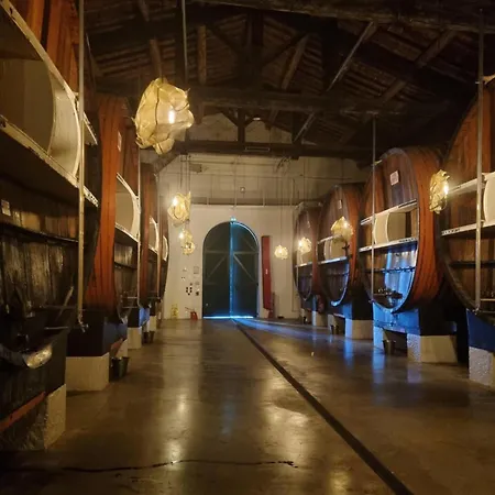 Maison De Au Coeur De マルセイヤン