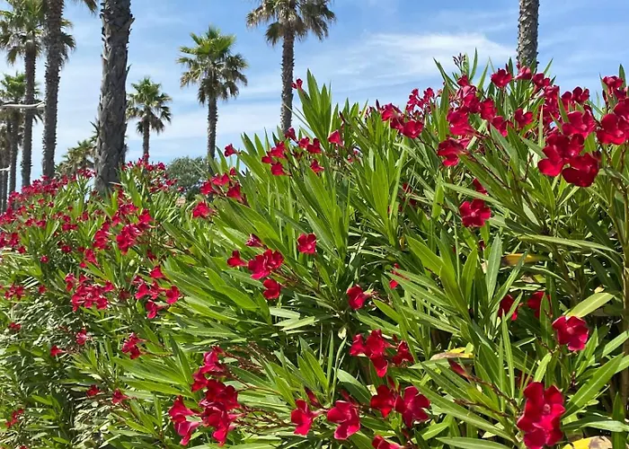 Сasa de vacaciones Maison De Au Coeur De